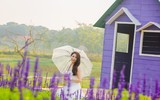 Cánh đồng hoa ngoại tím biếc giữa lòng Hà Nội